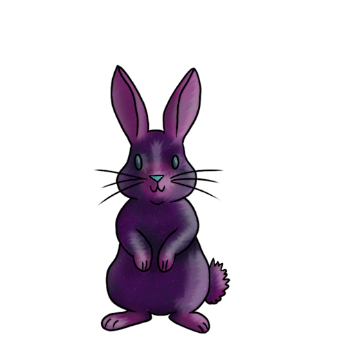 Baby Rabbit